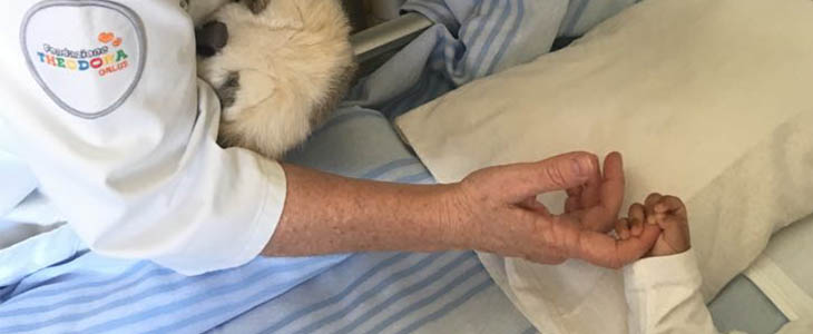 Accompagnamento Chirurgico Theodora